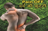 Pain Off for Back Pain Relief